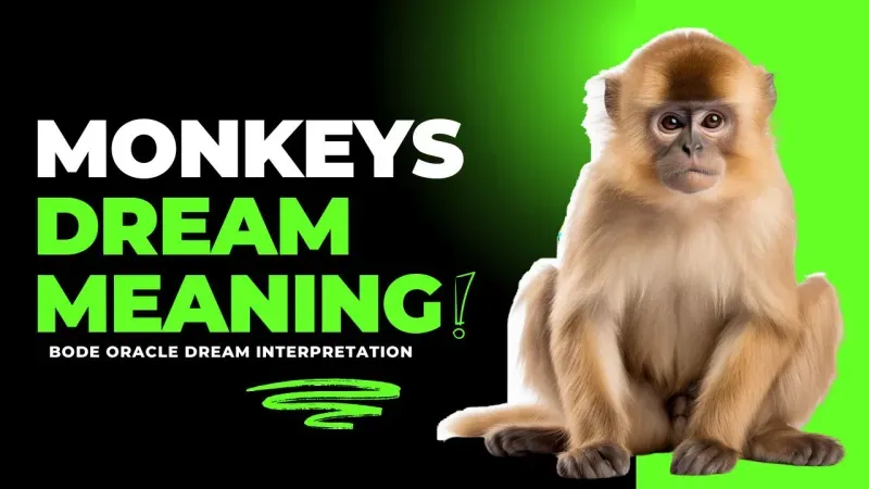 Monkeys in Dreams: Spiritual Meaning