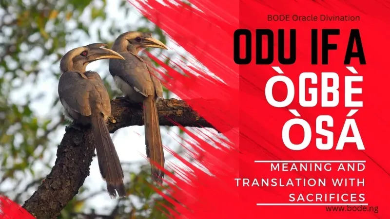 Odu Ogbe Osa: Meaning, Stories & Interpretation