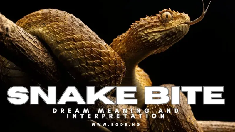 Snake Bite Dreams: Spiritual Meaning